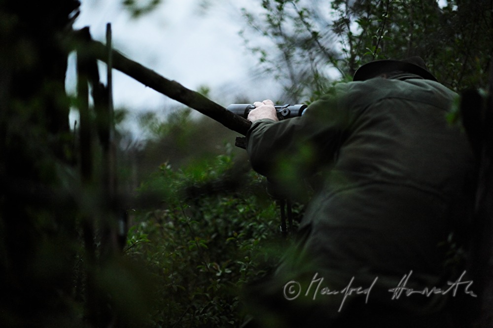 gamekeeper on the deer stand watching the scenery