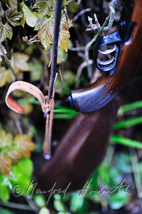 detail of a long rifle at the deer hunt