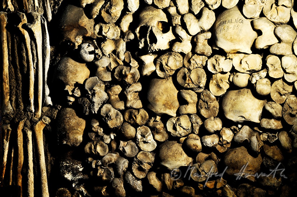 Chapel of Bones (Capela dos Ossos)
