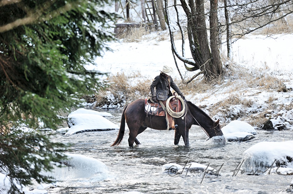 woman western rider crosses the river Zwettl