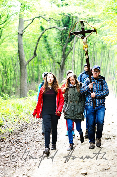 cross-bearer at the pilgrimage to Loretto