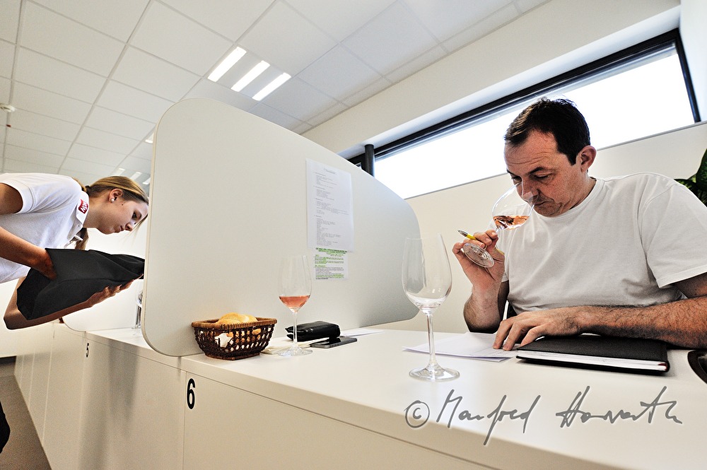 wine tasting of Rosé wine by a jury