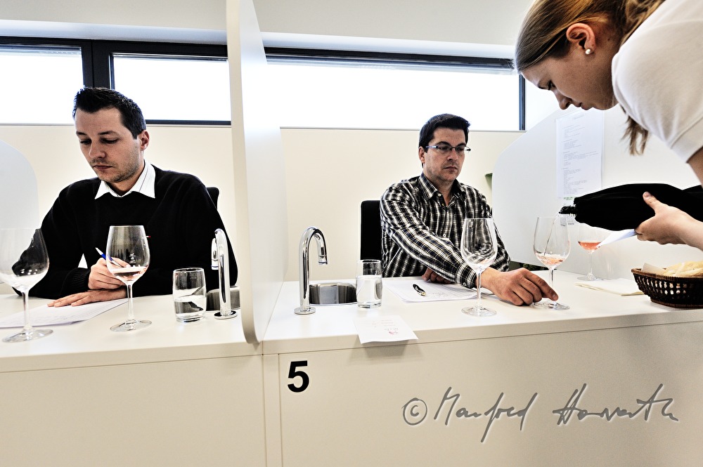 wine tasting of Rosé wine by a jury