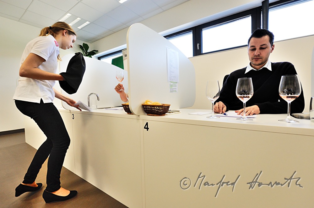 wine tasting of Rosé wine by a jury