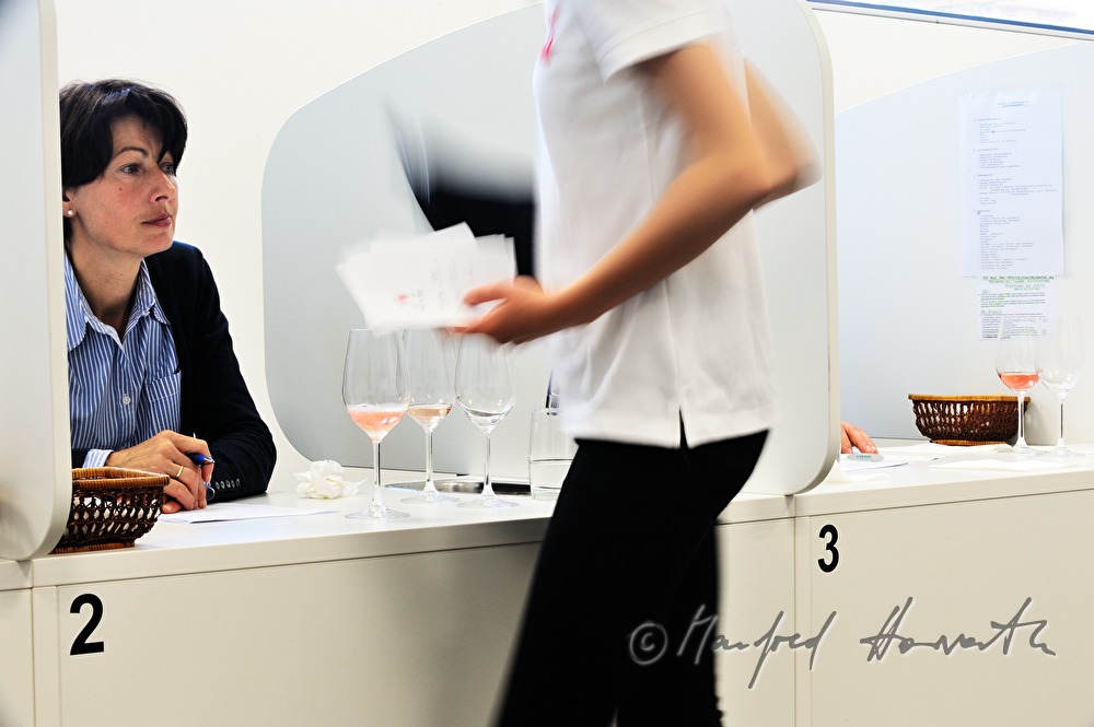 wine tasting of Rosé wine by a jury