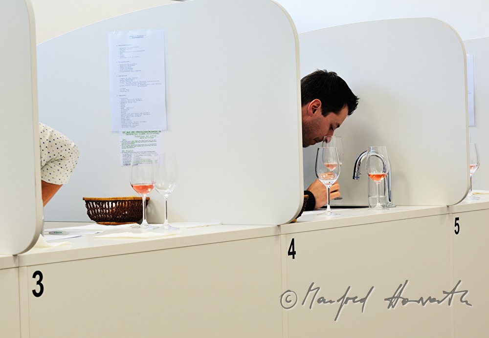 wine tasting of Rosé wine by a jury