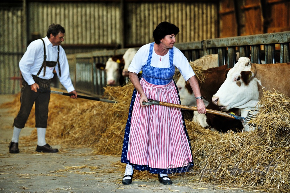 farmers in traditional clothes feed their live stock