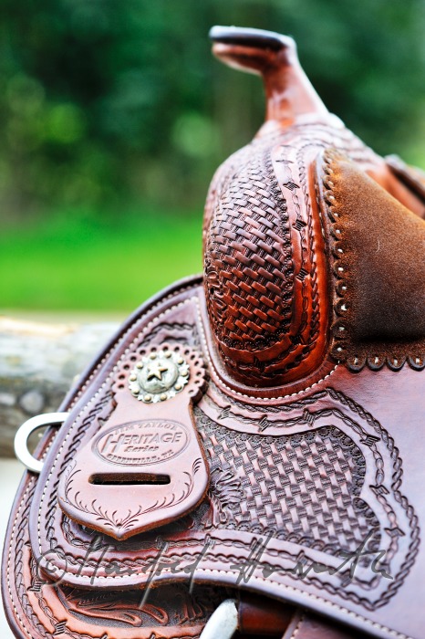 saddle and horse at a riding stable