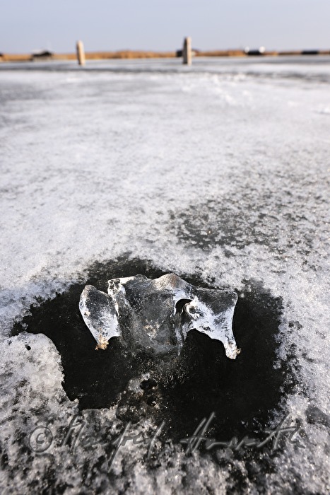 naturally formed ice sculpture