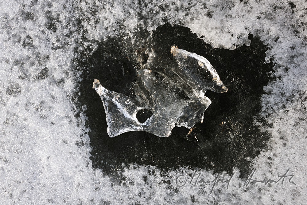 naturally formed ice sculpture