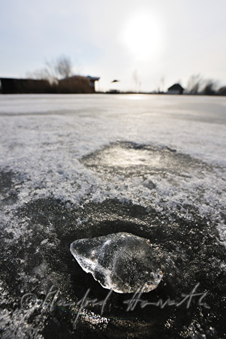 naturally formed ice sculpture