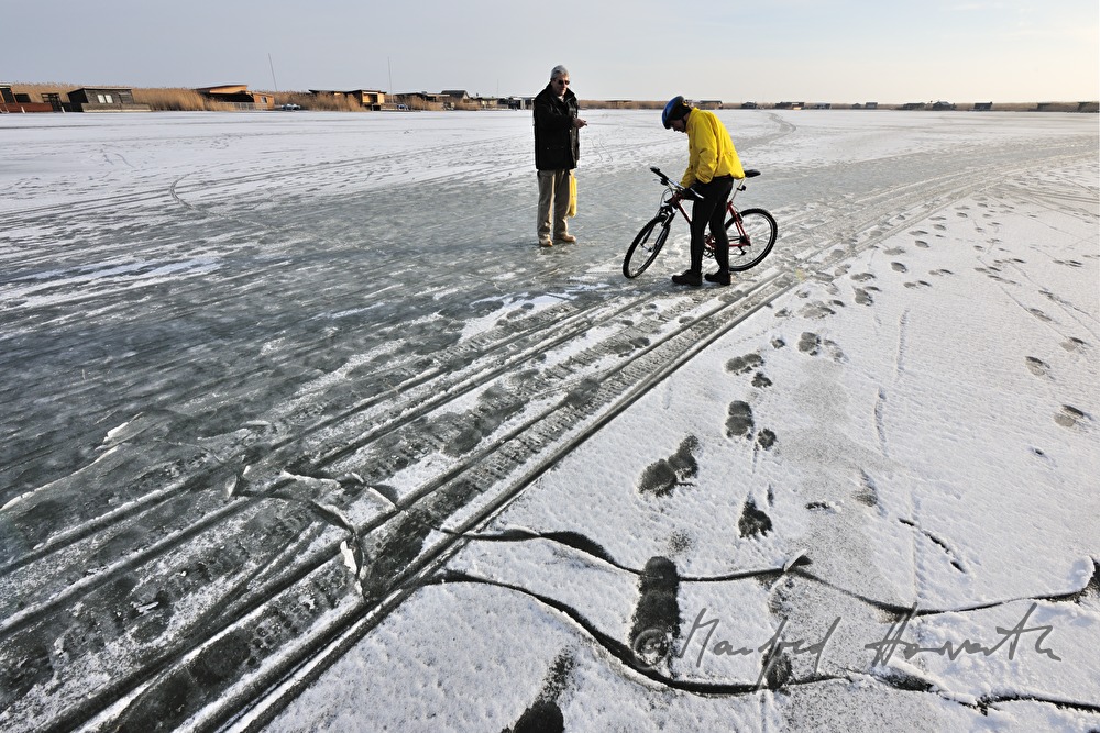 meeting of cyclist and walker