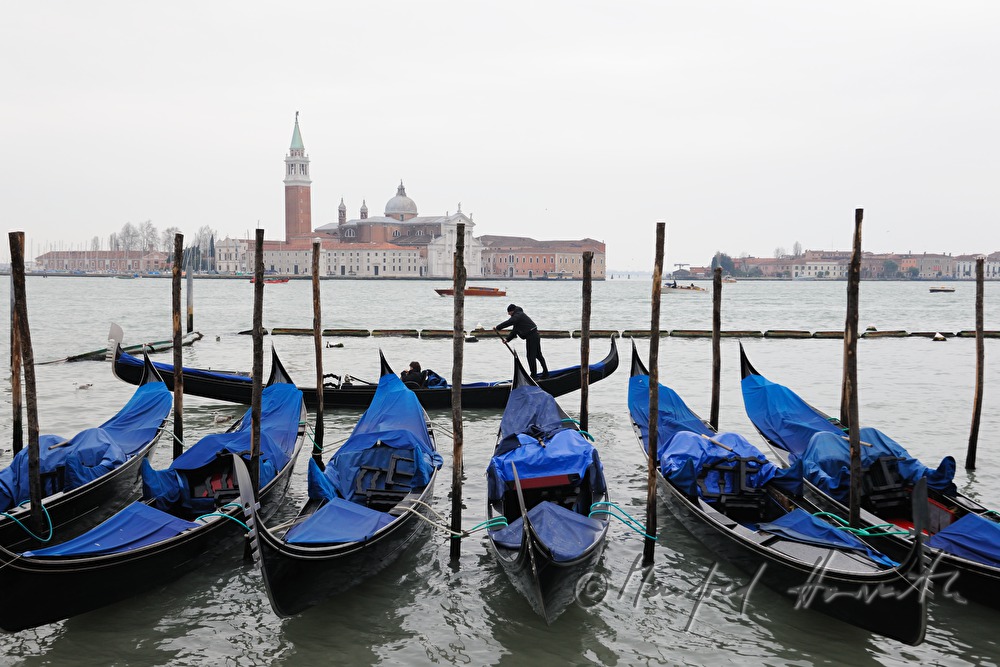 anchoring gondolas and San Giorgio Island