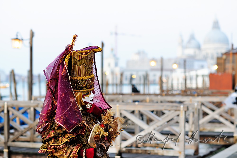 disguised woman at the carnival