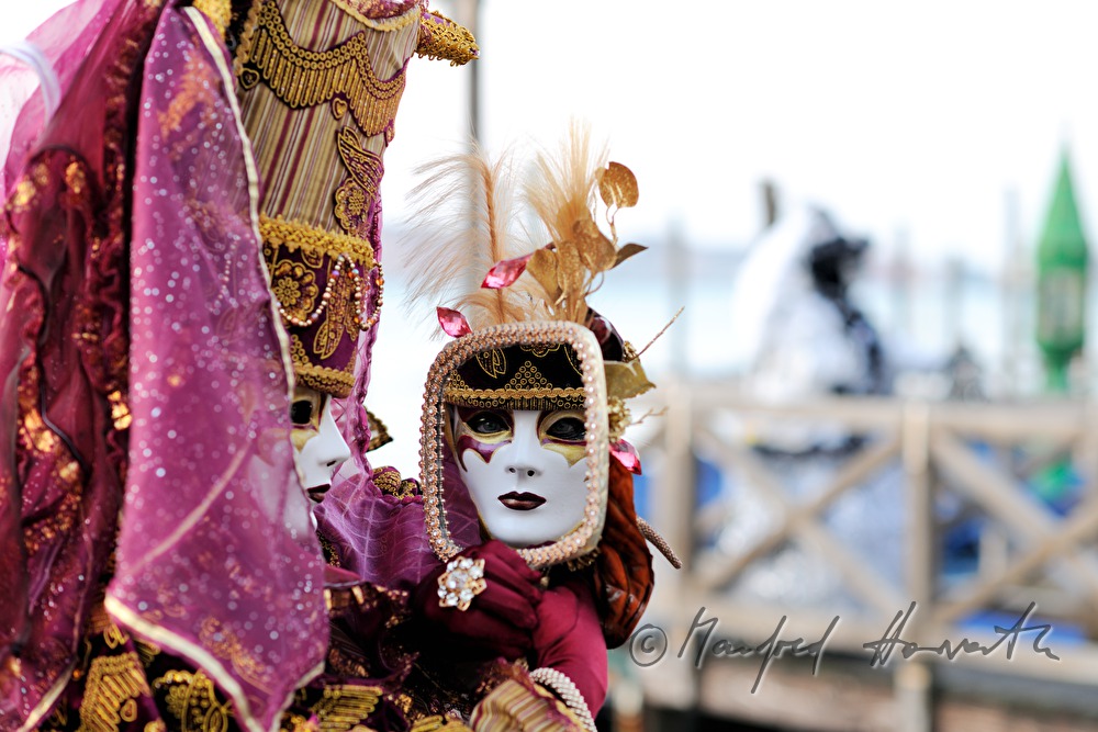 disguised woman at the carnival
