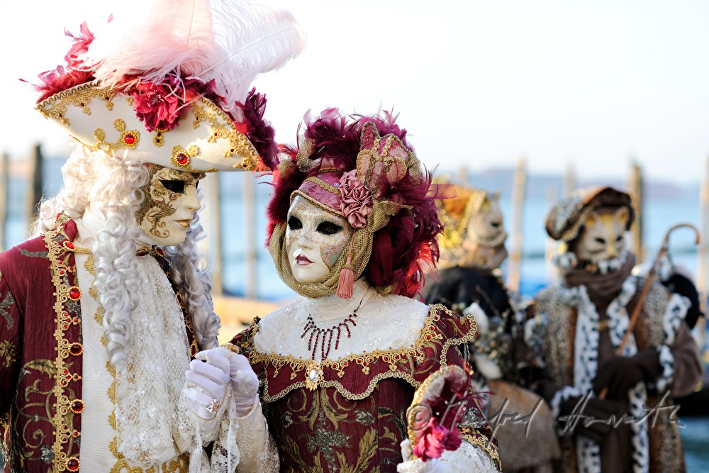 disguised couple at the carnival