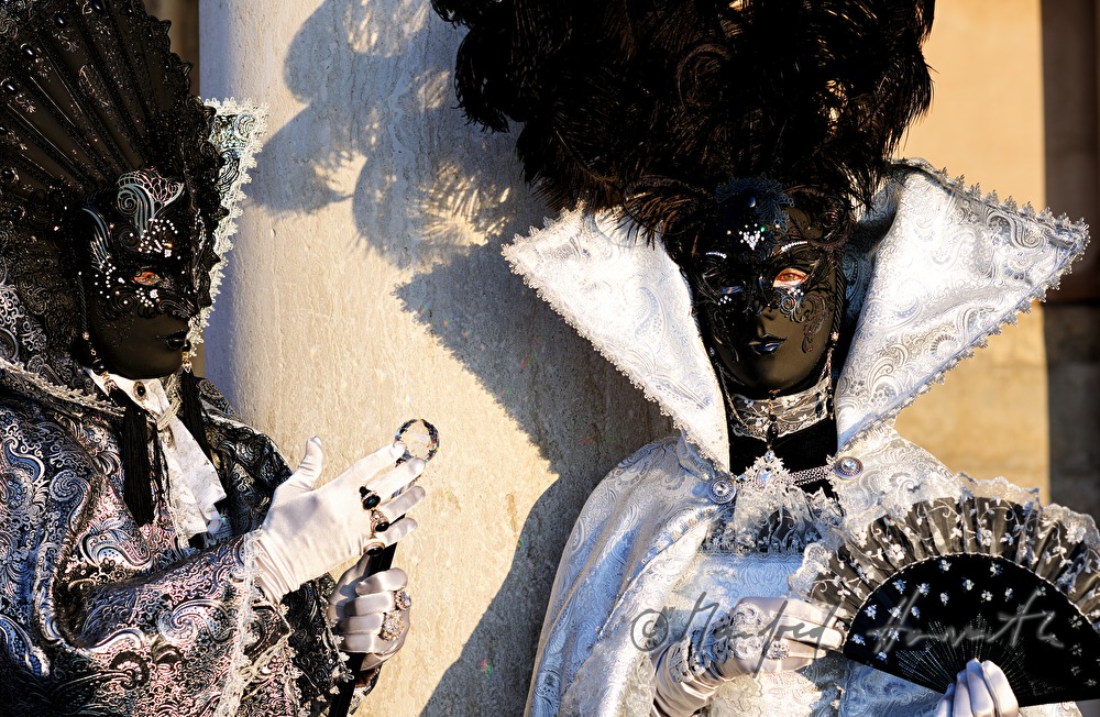 disguised couple at the carnival