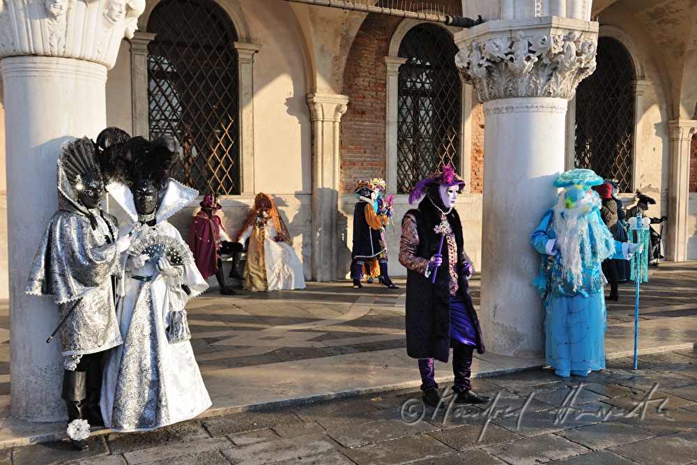 masqueraded visitors of the carnival