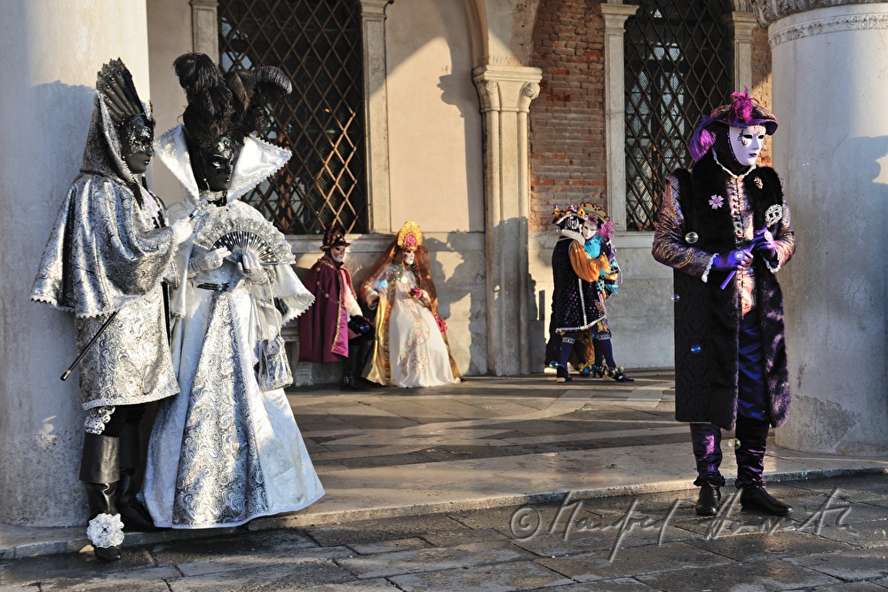 masqueraded visitors of the carnival
