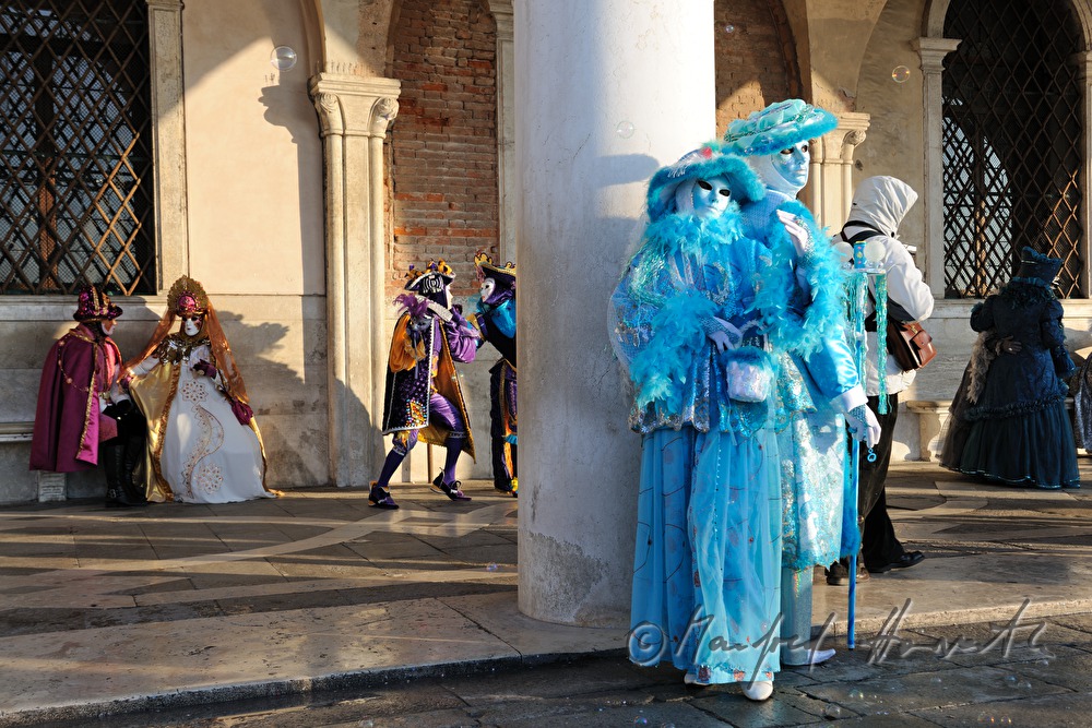 masqueraded visitors of the carnival