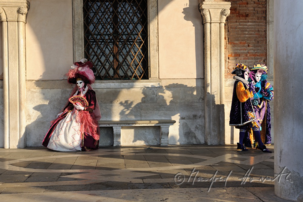 masqueraded visitors of the carnival