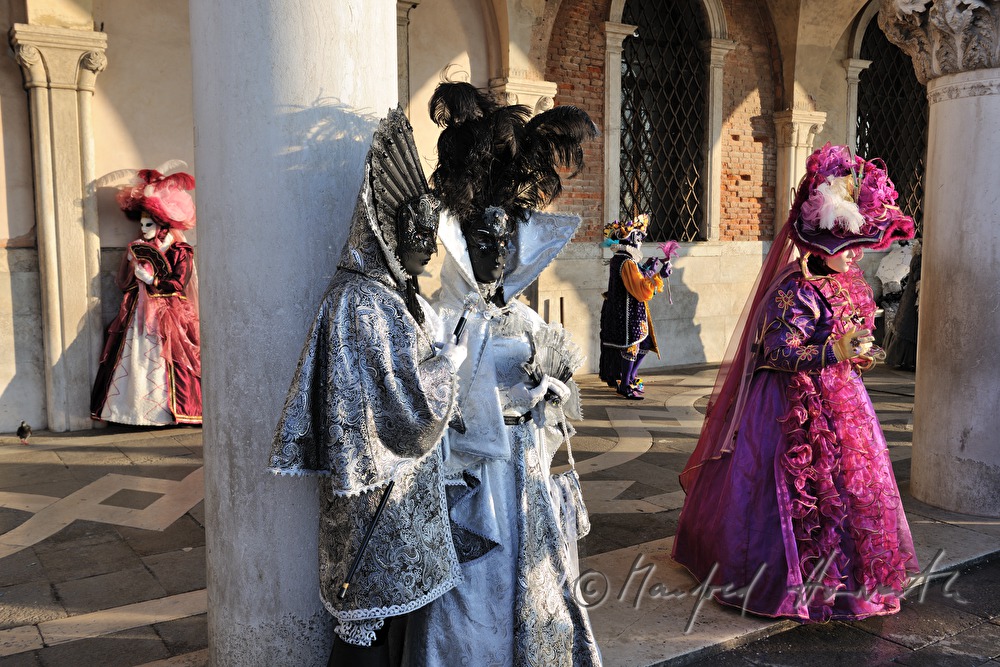 masqueraded visitors of the carnival