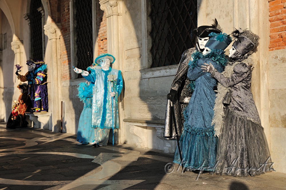 masqueraded visitors of the carnival