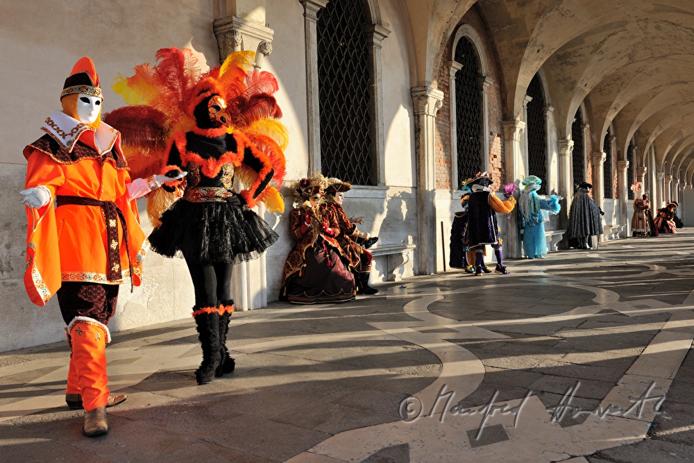 masqueraded visitors of the carnival