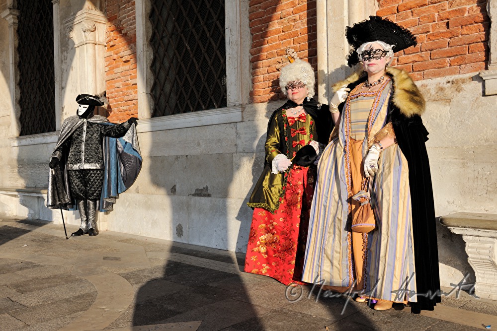 masqueraded visitors of the carnival