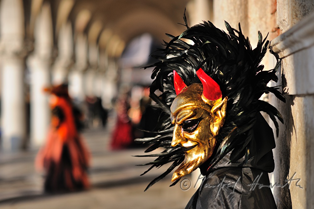 masqueraded visitors of the carnival