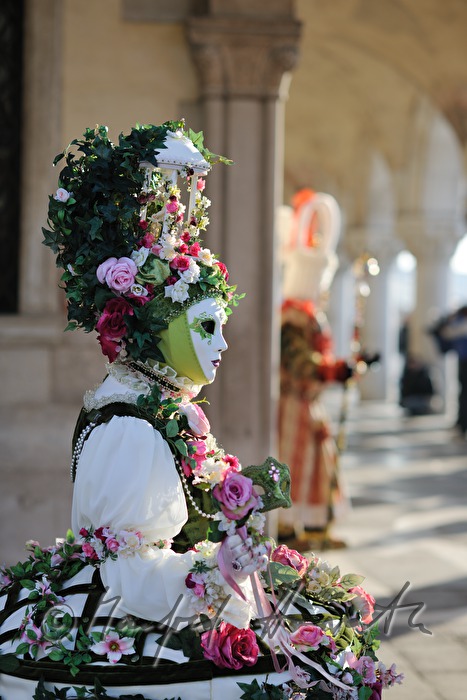 masqueraded visitors of the carnival