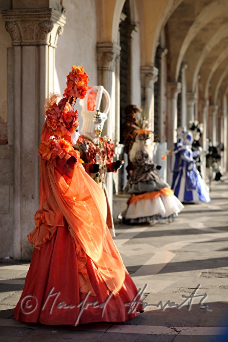 masqueraded visitors of the carnival