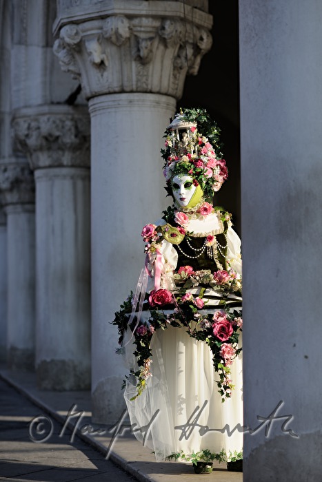 masqueraded visitor of the carnival