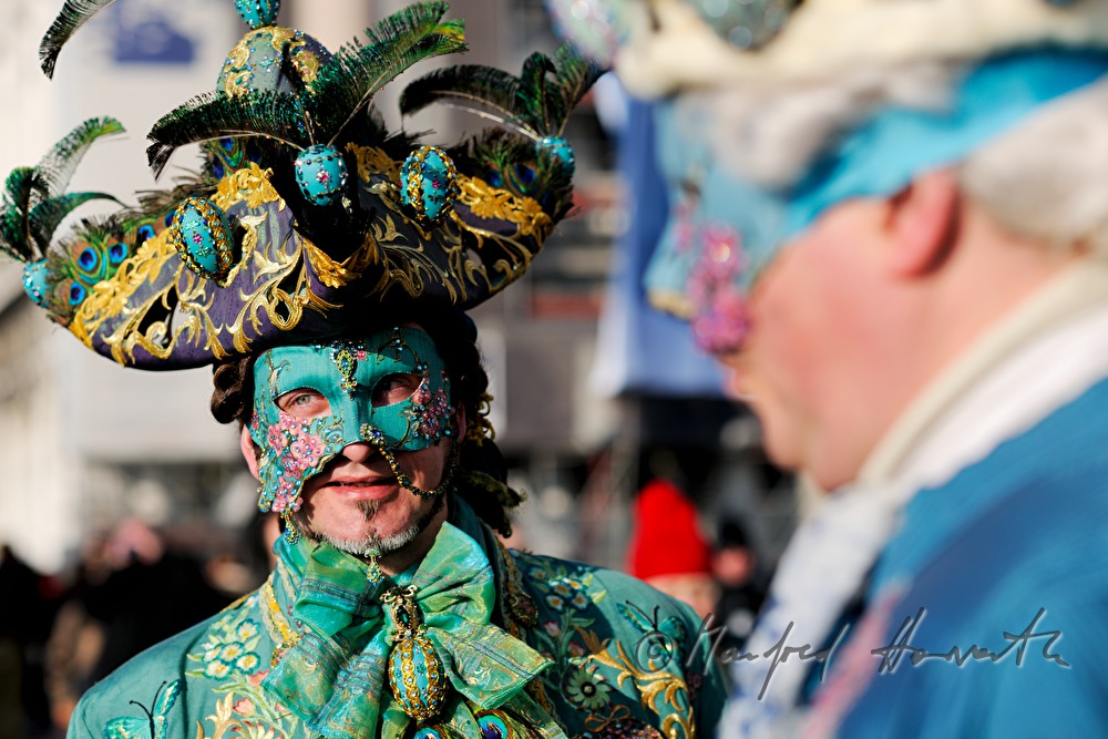 masqueraded visitors of the carnival