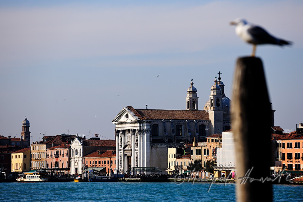 Santa Maria dei Gesuati on Canale della Giudecca