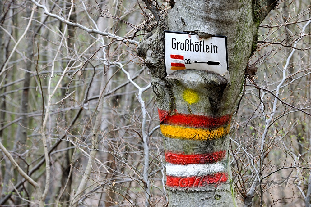 ingrown signpost for wanderers