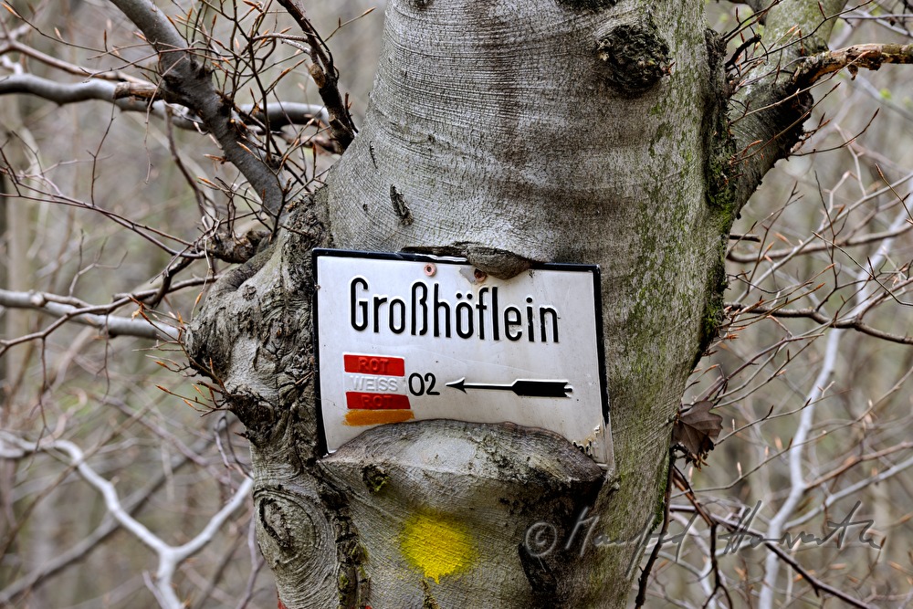 ingrown signpost for wanderers