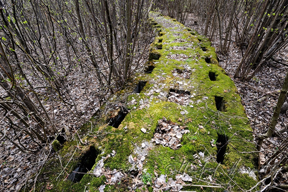 mosscovered leftover of World War II