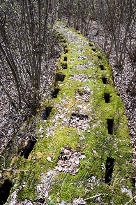 mosscovered leftover of World War II