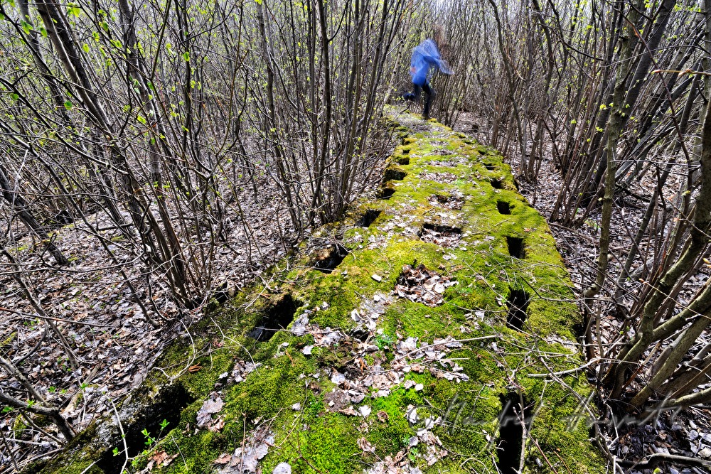 mosscovered leftover of World War II