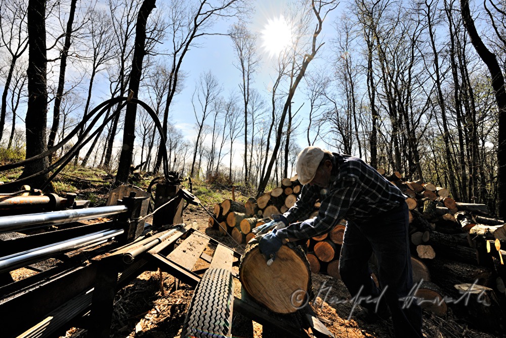 farmer mauls wood in the forest