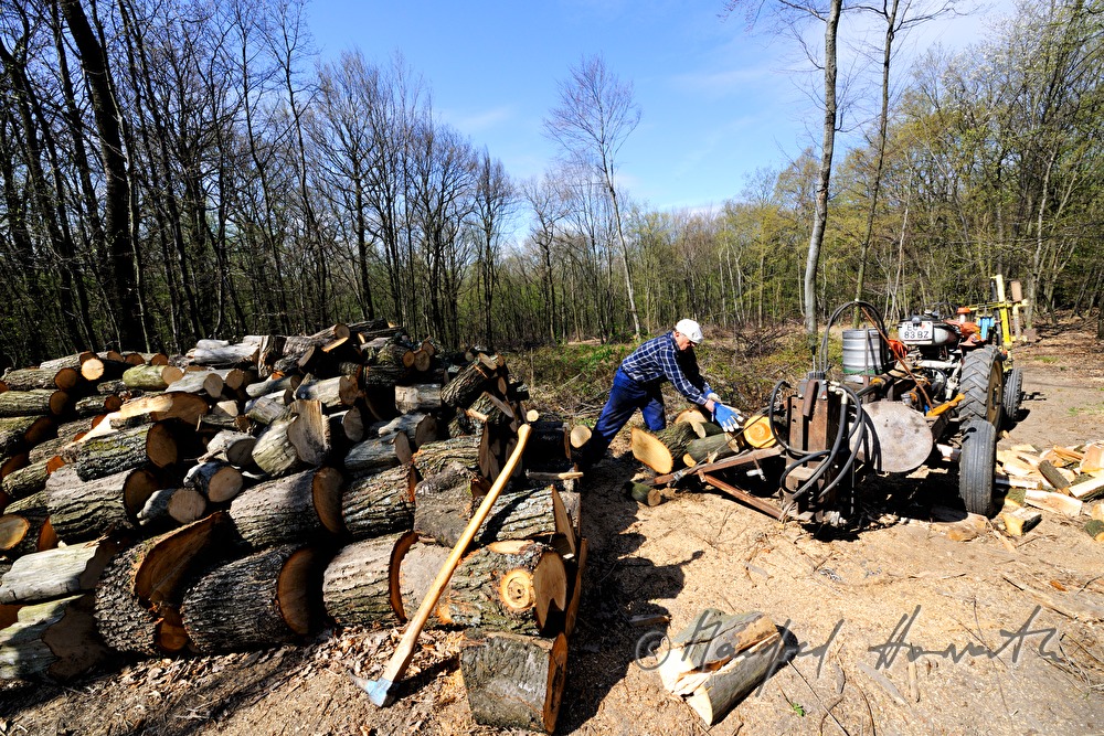 farmer mauls wood in the forest