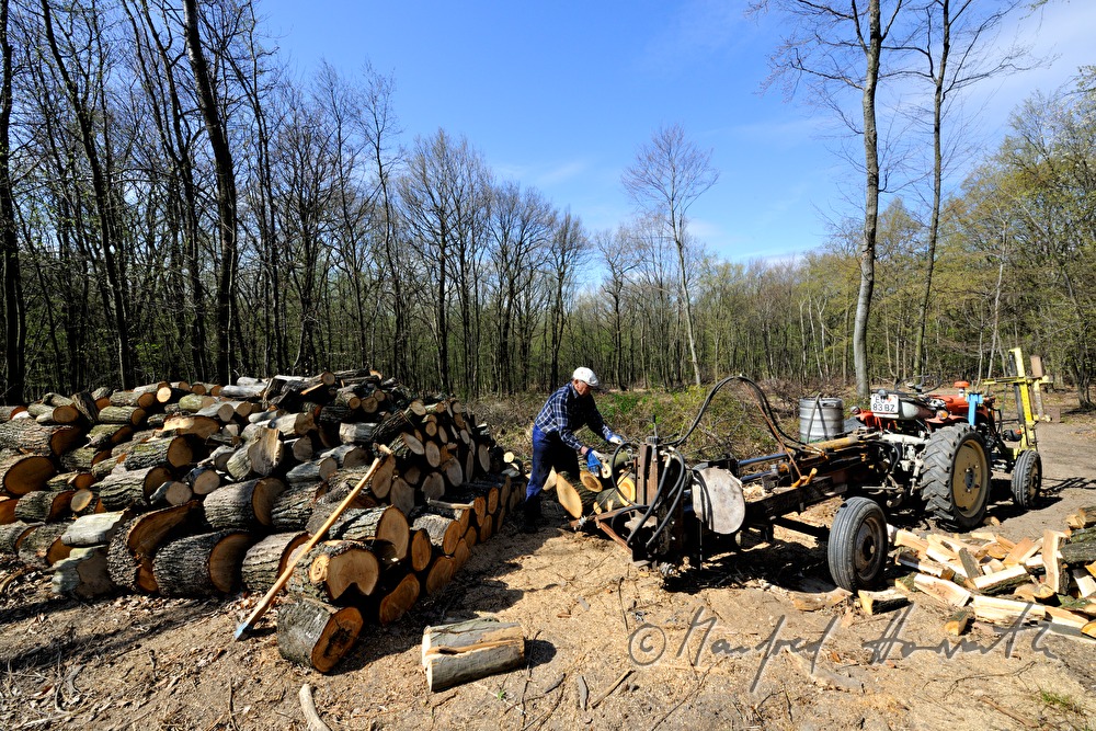 farmer mauls wood in the forest