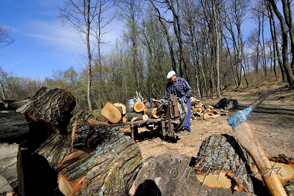farmer mauls wood in the forest