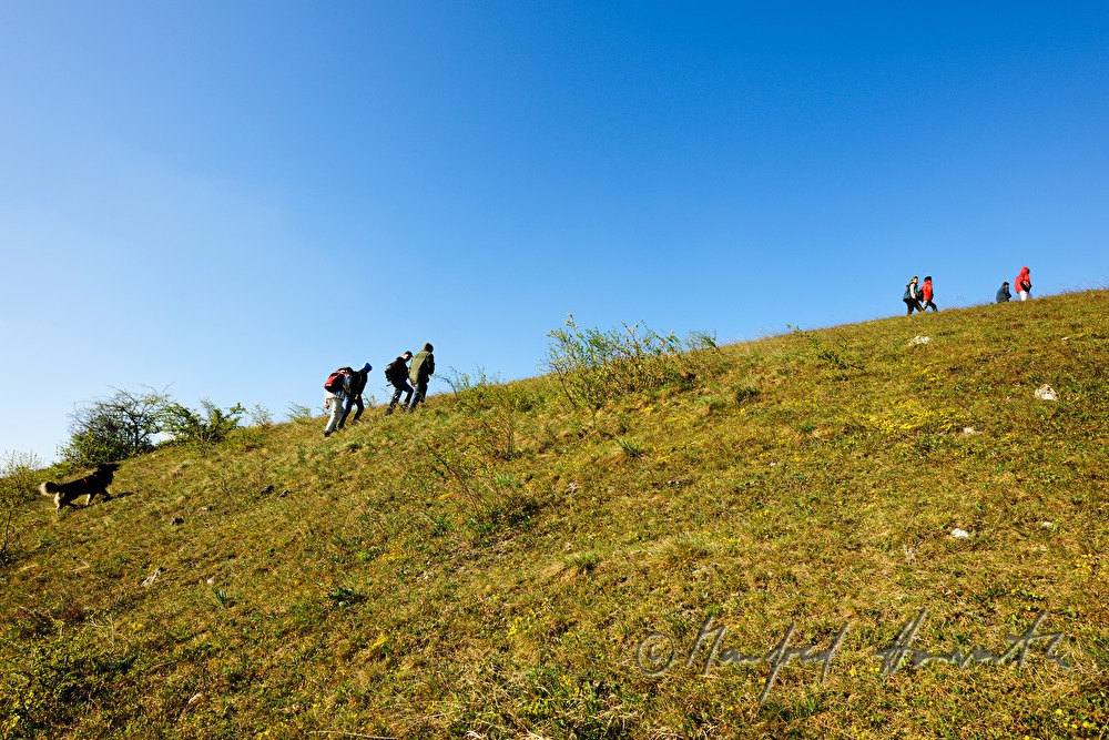 field trip of members of nature conservation
