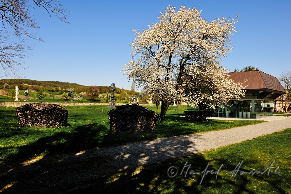 Egg Museum and sculptures of Wander Bertoni