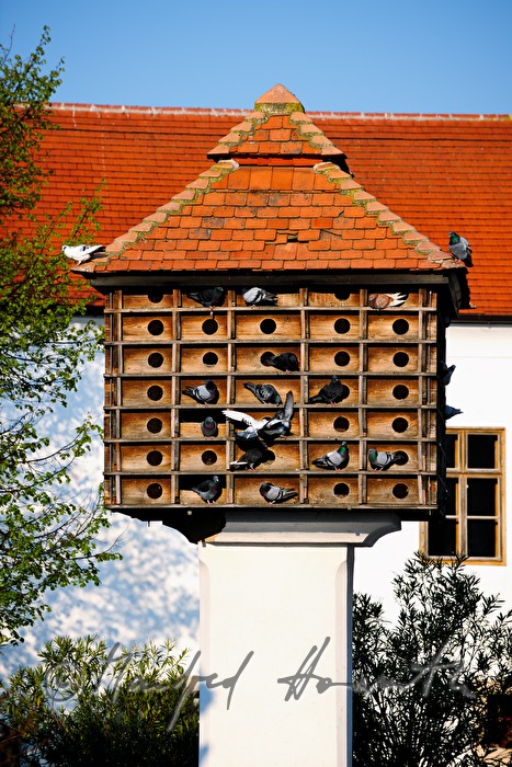 dovecote with doves in the inner courtyard