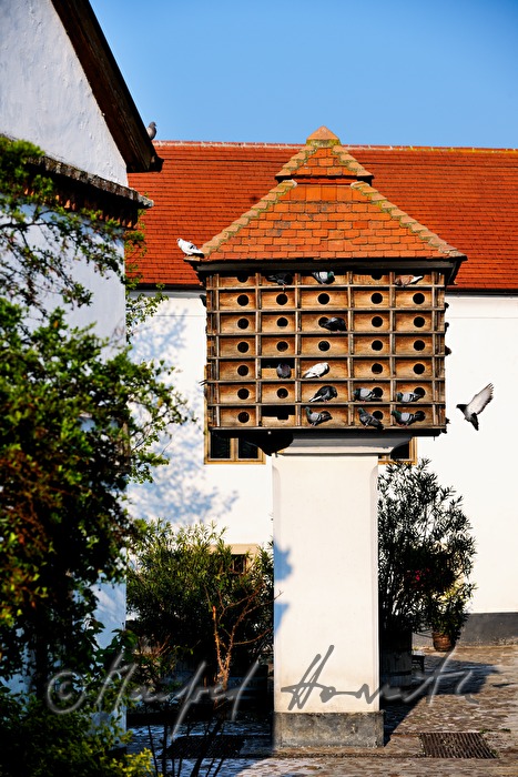 dovecote with doves in the inner courtyard