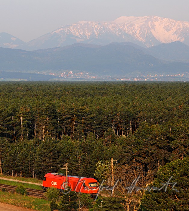 view from the Neunkirchner Allee to Schneeberg