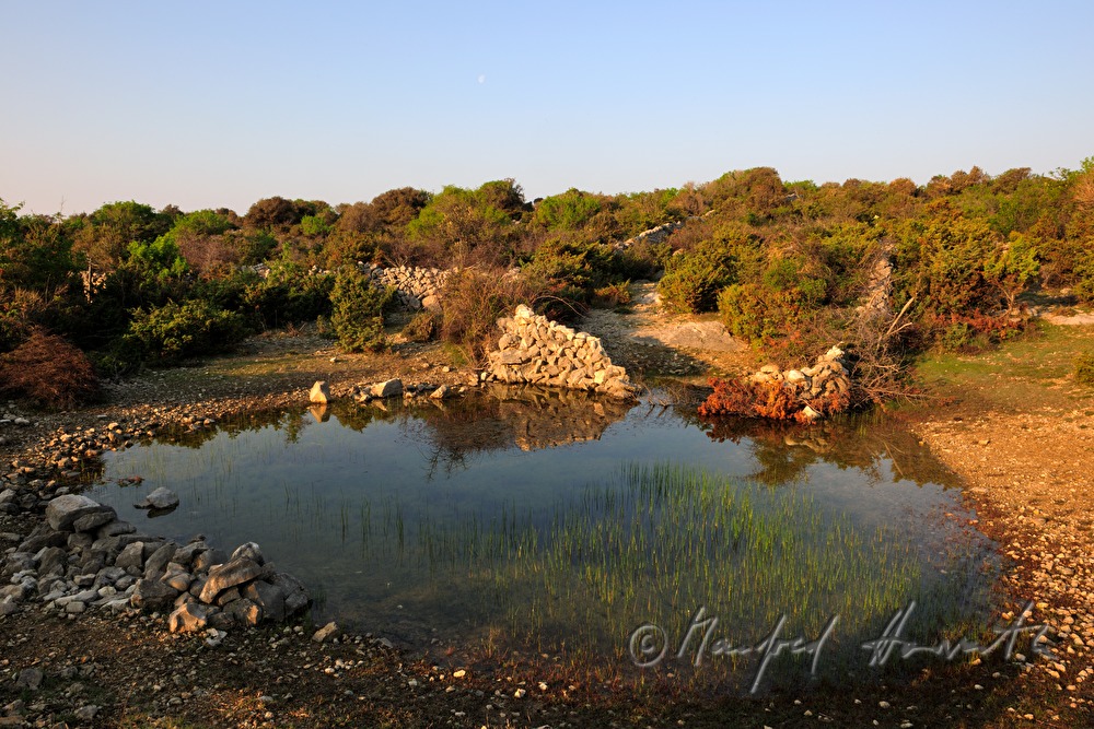 watering place for sheep and drystone walls